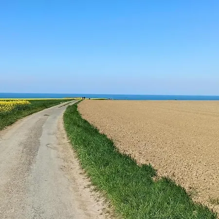 Logis La Rosiere----situe Entre Bayeux Et Arromanches トレシー・シュル・メール