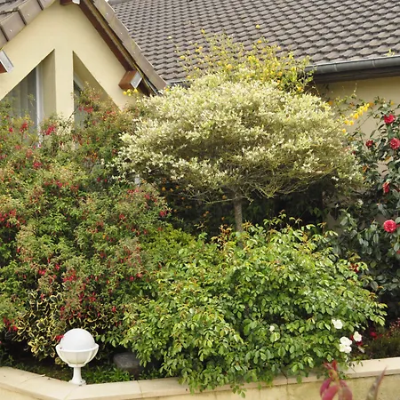 Logis La Rosiere----situe Entre Bayeux Et Arromanches