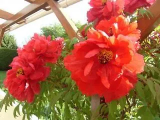 ホテル Logis La Rosiere----situe Entre Bayeux Et Arromanches 3*