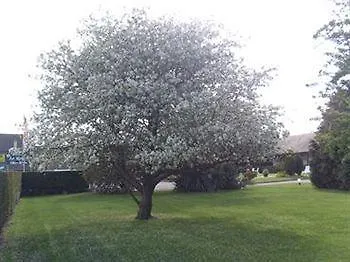 Hotel Logis La Rosière----situé Entre Bayeux Et Arromanches Tracy-sur-Mer