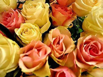 Hotel Logis La Rosière----situé Entre Bayeux Et Arromanches 3*