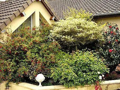 Logis La Rosière----situé Entre Bayeux Et Arromanches 3*