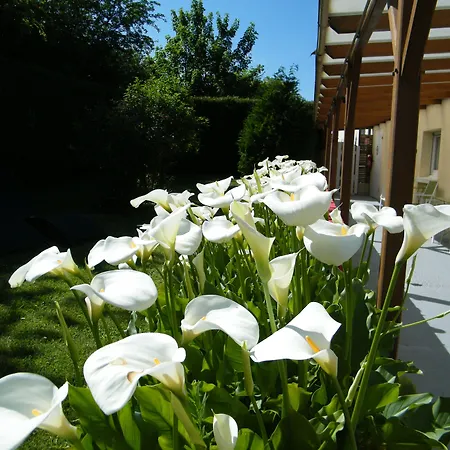 Logis La Rosiere----situe Entre Bayeux Et Arromanches 3*