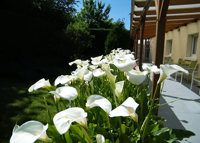 Logis La Rosiere----situe Entre Bayeux Et Arromanches 3*